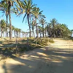 Flamingo Torrevieja